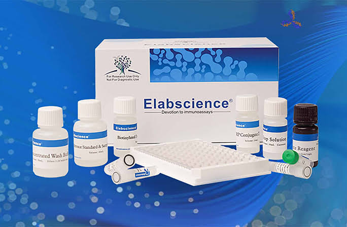 Elabscience ELISA Kits