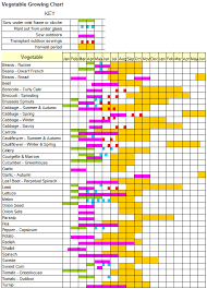 Vegetable Vitamin Chart Vegetable Harvest Chart