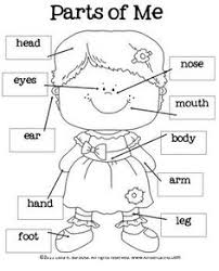 We have the following type of pre k worksheets free. Worksheet For Kids Body Parts