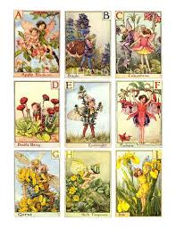 Pin By 9055535435 On Z Bedroom Lil J S Rm Flower Fairies Cicely Mary Barker Fairy Art