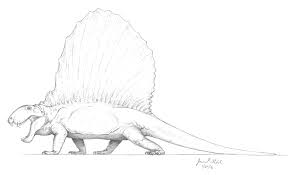 Image result for Dimetrodon