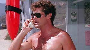 David hasselhoff's wife hayley roberts, 40, nearly falls out of her bra top as she goes for power walk without her baywatch vet husband, 67. The Untold Truth Of Baywatch