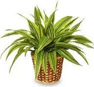Maybe you would like to learn more about one of these? About Us Flower Market Boynton Beach Fl