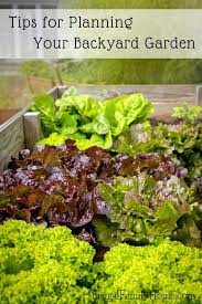 Family food garden is a participant in the. Making A Plan For Your Backyard Garden