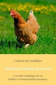 Gerer Les Fientes De Poules Farm Animals Rooster