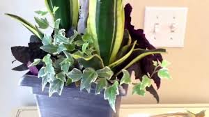 Easy diy seashell succulent container. Stunning Potted Indoor Plant Combinations Google Search Plant Decor Indoor Plants Container Plants