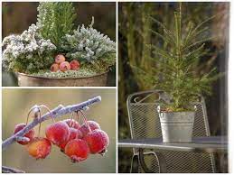 Den garten im winter dekorieren tipps von bullinger gartengestaltung. Weihnachten In Haus Und Garten Ideen Und Dekorationstipps