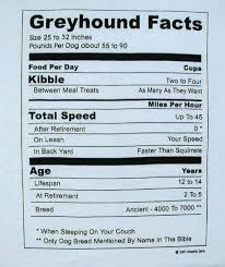 This Is Greyt Greyhound Grey Hound Dog Greyhound Tattoo