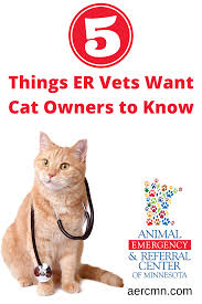 Cardiopulmonary resuscitation, or cpr for cats, is an emergency procedure that hopefully you will never need to use. 5 Things Emergency Vets Want Cat Owners To Know In 2020 Emergency Vet Cat Owners Emergency Hospital