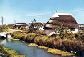 Camargue Paysage Cabanes Au Bord Du Canal Paysage De Camargue Camargue Les Regions De France