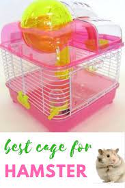 Best Hamster Cage Yml H1010 Clear Plastic Dwarf Hamster Mice Cage With Ball On Top Pink H1010pk Mouse Cage Dwarf Hamster Hamster Cage