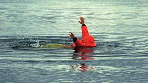 Marine Mammal Commission concerned about status of the North Atlantic right  whale