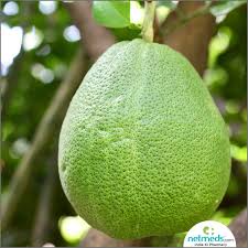 Native to southeast asia, the fruit of the thai pomelo is pale green/yellow, with a thick rind and arguably the largest of all citrus fruit. Pomelo Health Benefits Nutrition Uses For Skin And Hair Recipes Side Effects