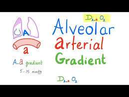 Image result for A-a Gradient