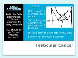 Signs of testicular cancer are: Ch 18 Male Female Reproduction Ppt Download