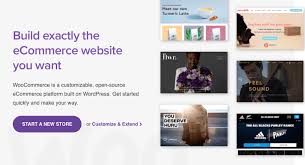 Create woocommerce theme with the best free woocommerce theme builder. 14 Best Woocommerce Themes For Selling Digital Products