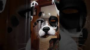 Snapchat Ghost Dog Youtube Submitted 2 years ago by deleted. snapchat ghost dog youtube