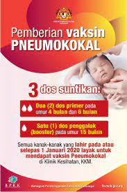 These bacteria are the leading cause of bacterial pneumonia in young children and older. 3 Dos Percuma Suntikan Vaksin Pneumokokal