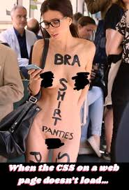 When the css doesnt load correctly : rmemes