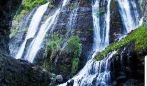 We did not find results for: A Hidden Beauty Review Of Chorros Del Varal Los Reyes Mexico Tripadvisor