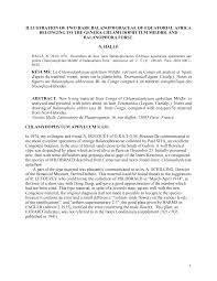 Image result for Tessmannia anomala