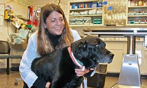 We understand that pet emergencies are stressful and upsetting; Emergency Room Visits Explained Veterinary Medicine At Illinois