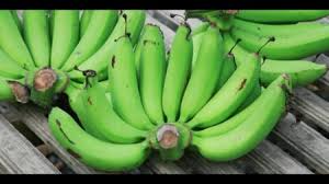 303 resep pisang kepok mentah ala rumahan yang sederhana dan lezat dari komunitas memasak terbesar dunia! Pisang Mentah 10 Manfaat Luar Biasa Yang Sering Tidak Diketahui