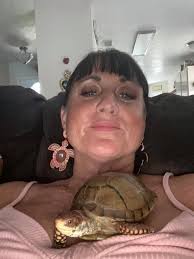 Sneak peek. Some of the cute little sea turtle earrings for Tall Ships.  @everyone