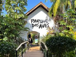 Traslados Corporativos