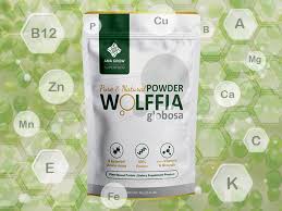 Image result for Wolffia