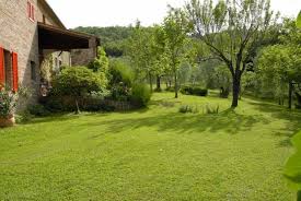 Italien Toskana Immobilie Sinalunga 9 Hektare Mit Wald Olivenbaume Landhaus Mit B B Pool Alleinlage Kaufpreis Reduziert Auf Instagram Pool Plants