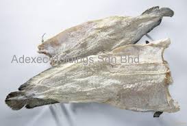 Fishes are alive before received your online order. Haddock Fish Products Malaysia Haddock Fish Supplier