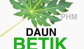 Pengenalan ramai yang kenal bunga betik/pucuk betik tetapi tahukah anda terdapat 3 jenis bunga pada pokok betik iaitu bungan jantan, bunga betina dan bunga hermafrodit. 2 Helai Pucuk Betik Sehari Begini Cara Amalkan Untuk Naikkan Platelet Darah Keluarga