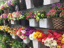 Artificial flowers, plants & arrangements. Novelty Flowers Crawford Market Artificial Turf Dealers In Mumbai Justdial