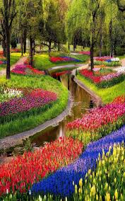 51 Cheap But Beautiful Garden Decor Ready For You Homiku Com Most Beautiful Gardens Beautiful Gardens Beautiful Flowers Garden
