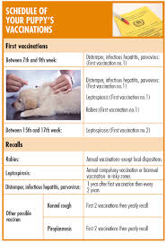 Current recommendations from the cdc and the american association of veterinary parasitologists are to provide deworming medications against. Puppy S Guide Gheda