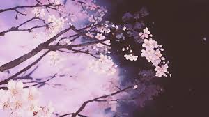 Watch and create more animated gifs like sakura tree tempura at gifs.com. Sakura Gif