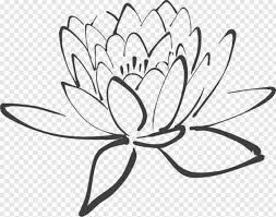 The pink is so vivid. Rectangle Outline Flower Outline Lotus Person Outline Lotus Flower City Outline 356818 Free Icon Library