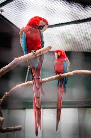 Maybe you would like to learn more about one of these? Bird Sitting In Austin Texas This Lil Dog Of Mine