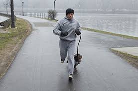 The character was created by sylvester stallone. Gonna Fly Now Sylvester Stallone S Rocky Balboa 7 10 Neil Young S Film Lounge