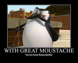 So i decided to make a meme for penguins of madagascar. Xd Skipper Penguins Of Madagascar Penguins Funny Penguins