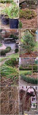 Erste Gartenarbeiten Im Januar Ein Schweizer Garten Ein Schweizer Garten Gartenarbeit Garten