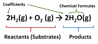 Balance and classify five types of chemical reactions: Balancing Chemical Equations Gizmo Quizlet Tessshebaylo