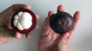 Einige der bekanntesten sind die xanthone, stilbene, tannine, katechine und polyphenole. Mangostan Co To Takiego I Jak To Jesc Youtube