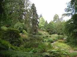 Zur ideellen und finanziellen förderung wurde im jahr 1998 der förderverein freunde des botanischen gartens bielefeld gegründet. File Bielefeld Botanischer Garten 5 Jpg Wikipedia