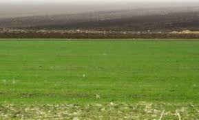 Totodata informează că a finalizat ieri, 05 iulie, campania de primire a cererilor unice de plată pentru anul 2016, în cadrul căreia au fost înregistrate un număr de de 900.927 cereri, cu o suprafața declarată la plată de 9.492.575,01 hectare. Subventii Agricole Apia A Emis Ordine De Plata Pentru Aproape 97 La Suta Din Cererile De PlatÄƒ Aferente Campaniei 2015 Cronica Olteniei