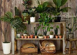 Kate Log House Plants Backdrop Small