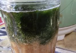 Resep cincau perdu anti gagal / itu adalah resep membuat telur gulung anti gagal original tanpa tambahan bahan lainnya. Resep Cincau Hijau Oleh Dwi Robinakbar Cookpad