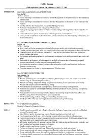 Salesforce Administrator Resume Samples Velvet Jobs