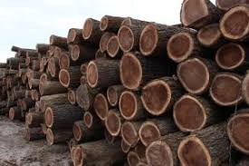 Maybe you would like to learn more about one of these? A Missouri Black Walnut Initiative Walnut Council